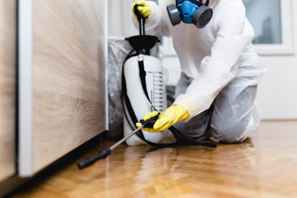 Best Pest Control Near Me  in Gibson City, IL