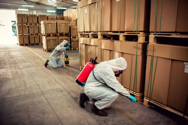 Best Rat Extermination Near Me  in Gibson City, IL