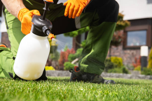 Pest Prevention Services in Gibson City, IL