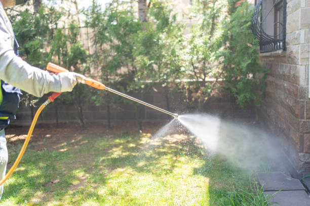 Best Spider Control Near Me  in Gibson City, IL