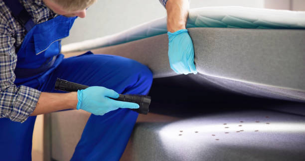 Best Emergency Pest Control  in Gibson City, IL