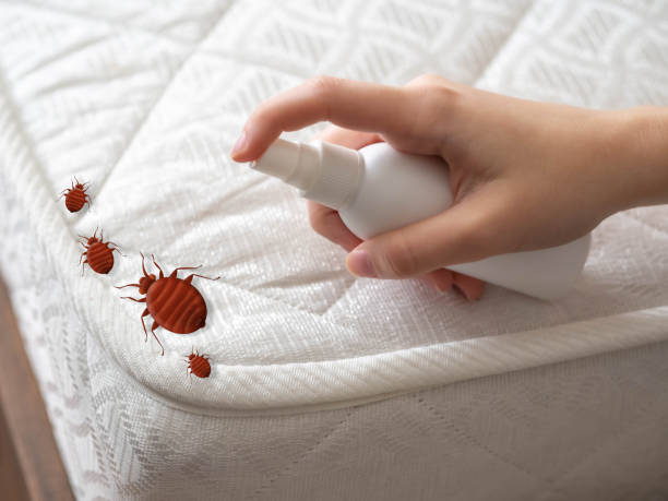Best Pest Control Near Me  in Gibson City, IL