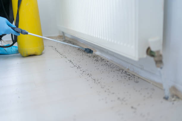 Best Pest Inspection Near Me  in Gibson City, IL