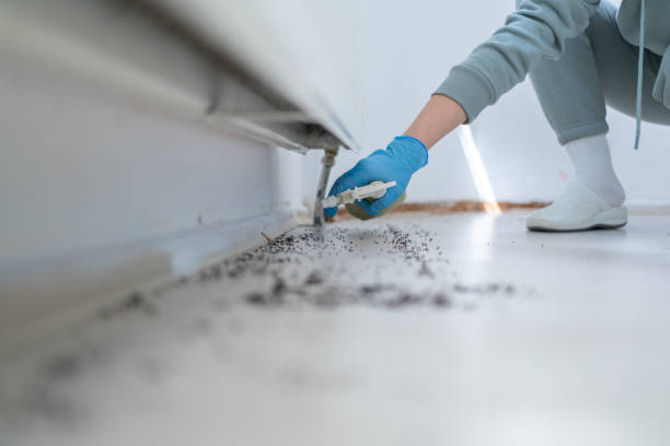 Best Affordable Pest Control Services  in Gibson City, IL