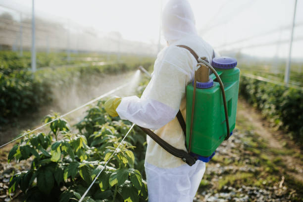 Best Best Pest Control Companies  in Gibson City, IL
